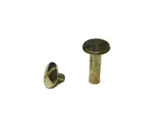 Cilt Menü, Katalog, Kartela Vidası, 13mm - Sarı, 1 Adet