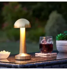 Dekoratif Led Masa Lambası MZ-327