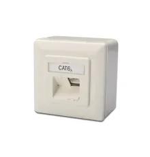 Digitus Sıva Üstü İkili RJ-45 Priz, CAT. 6A Class EA, Shielded (Zırhlı), 2 x RJ45