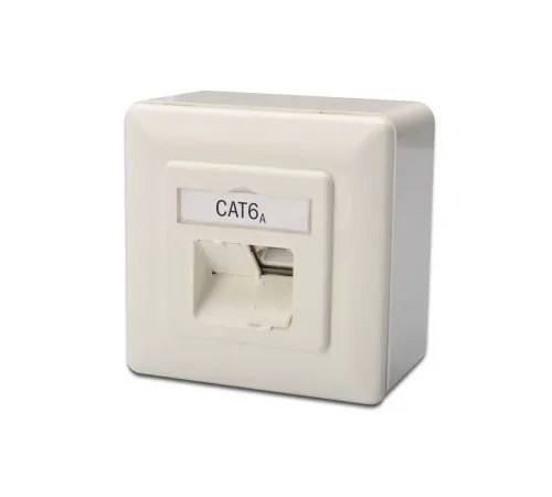 Digitus Sıva Üstü İkili RJ-45 Priz, CAT. 6A Class EA, Shielded (Zırhlı), 2 x RJ45