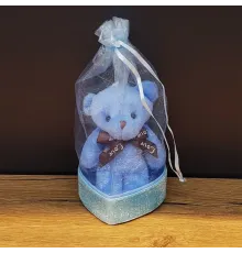 Doğum Günü Hediyesi Kese İçinde Ayıcık