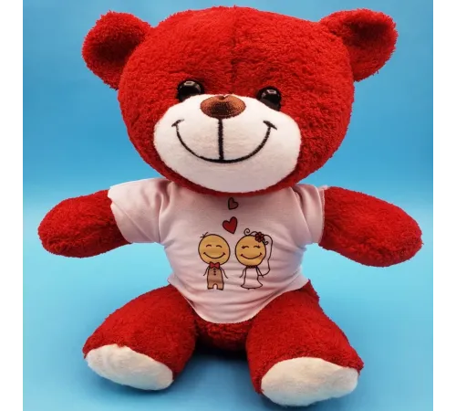 Gelin Damat Çift Baskılı Tişörtü Kırmızı Ayı