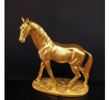 Gold Renk At Biblosu