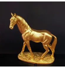 Gold Renk At Biblosu