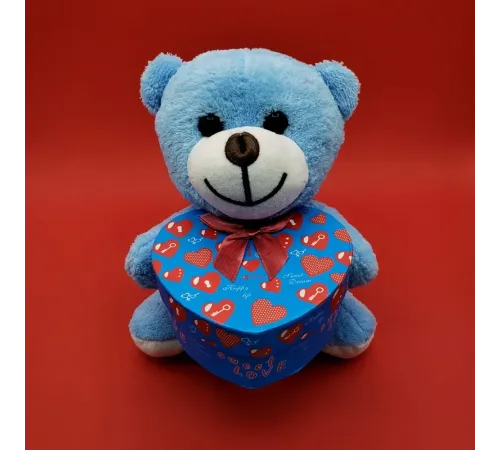 Kalp Kutulu Ayıcık