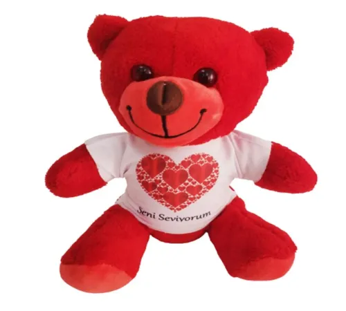 Kalpli Seni Seviyorum Tişörtlü Kırmızı Ayıcık