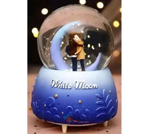 Kar Küresi Orta Boy WY20K08