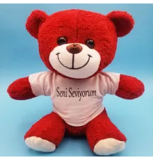 Kırmızı Ayıcık Seni Seviyorum Tişörtlü