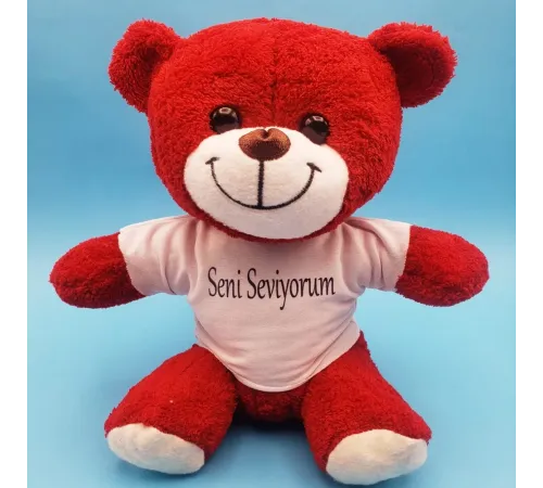 Kırmızı Ayıcık Seni Seviyorum Tişörtlü