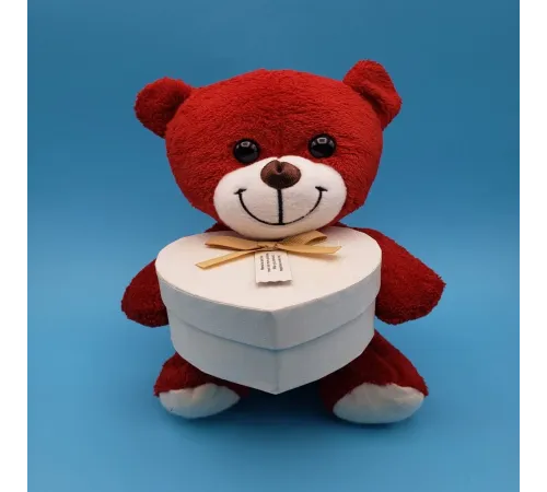 Kırmızı Kalp Kutulu Ayı