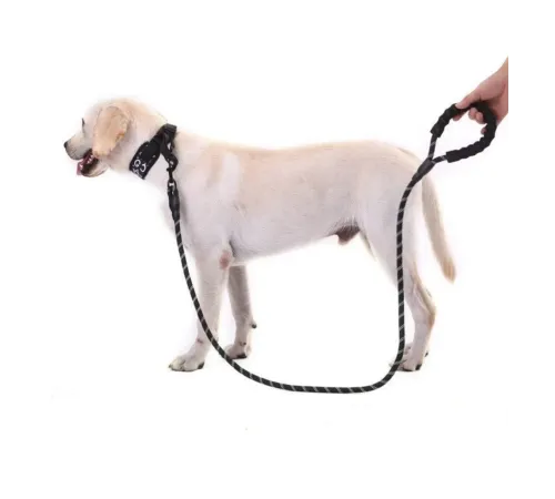 Köpekler İçin Gezdirme Tasması Reflektörlü 130 cm Halat Orta ve Büyük Boy Köpekler İçin Siyah