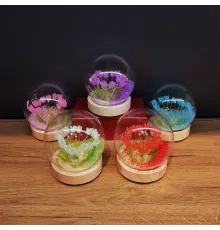 Led Işıklı Lale Cam Fanus 1 Adet