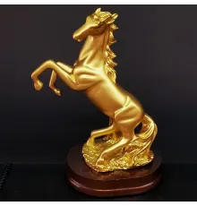 Şaha Kalkan Gold Renk At Biblosu