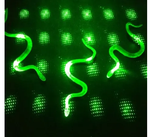 Şaka Yılan ve Kırkayak Karışık 36 Adet