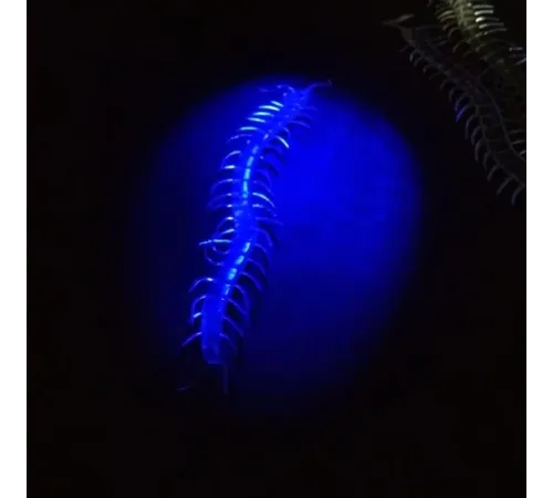 Şaka Yılan ve Kırkayak Karışık 36 Adet