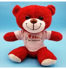 Seni Seviyorum Tasarımlı Oyuncak Ayı