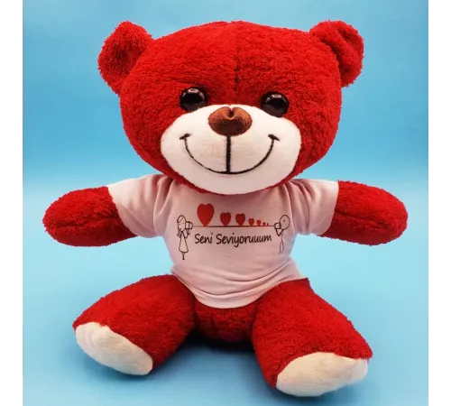 Seni Seviyorum Tasarımlı Oyuncak Ayı