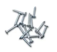 Şıngıl Çivisi 2,5 kg