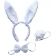 Tavşan Kostüm Seti Taç Papyon Kuyruk Beyaz Renk