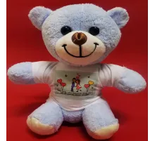 Tişörtlü Mavi Ayı