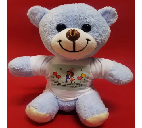 Tişörtlü Mavi Ayı