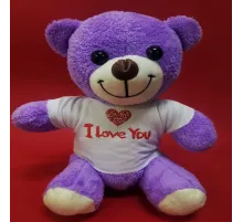 Tişörtlü Mor Ayı