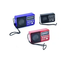 Usb Ve Micro Kart Girişli El Radyosu RT-303