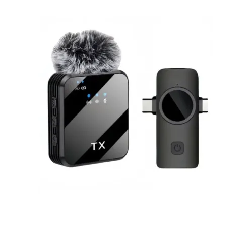 ZR1028 F13 İki Girişli Tekli Mikrofon