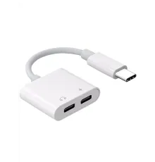 ZR293 Ftac42 Type-C 2 İn 1 Converter Adaptör