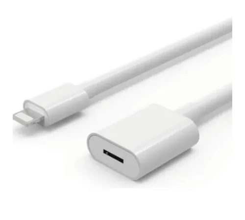 ZR81 Lightning Uzatma Kablosu 1 M