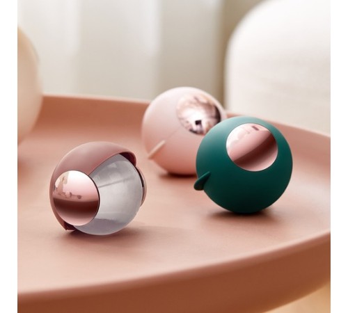 Taşınabilir Yıkanabilir Tüy Toplama Topu 1 Adet