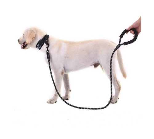 Köpekler İçin Gezdirme Tasması Reflektörlü 130 cm Halat Orta ve Büyük Boy Köpekler İçin Siyah