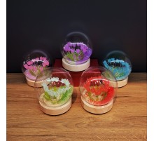 Led Işıklı Lale Cam Fanus 1 Adet