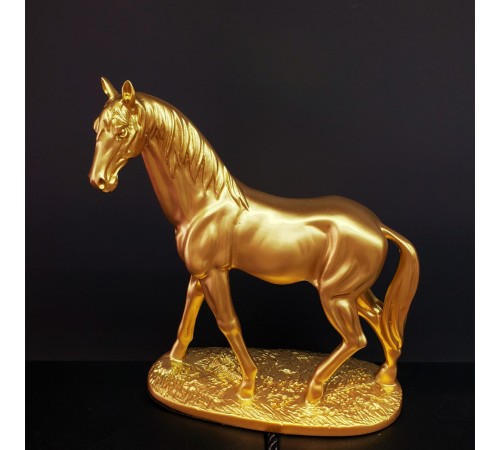 Gold Renk At Biblosu