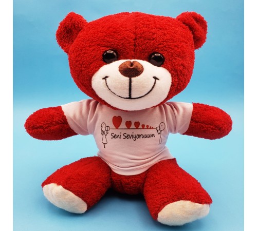 Seni Seviyorum Tasarımlı Oyuncak Ayı