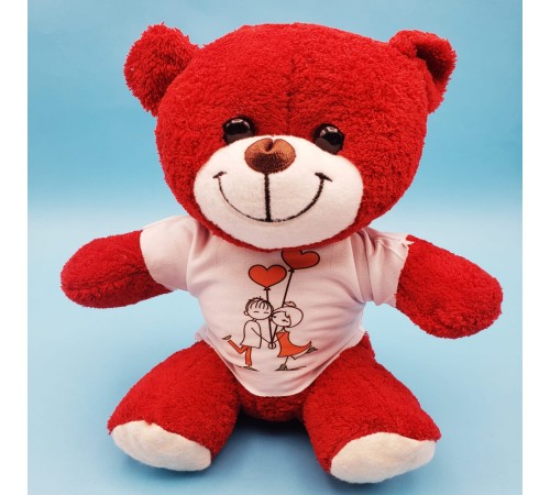 Tişörtlü Kırmızı Oyuncak Ayı