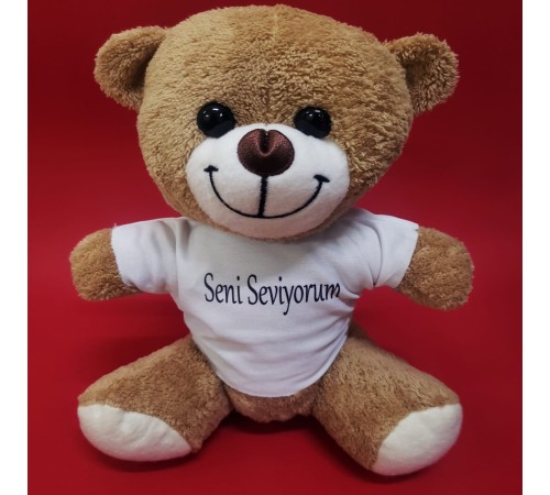 Kahverengi Seni Seviyorum Tişörtlü Ayı