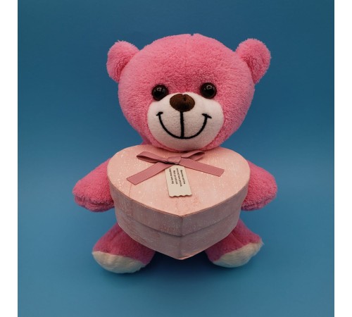 Kutulu Pembe Ayıcık