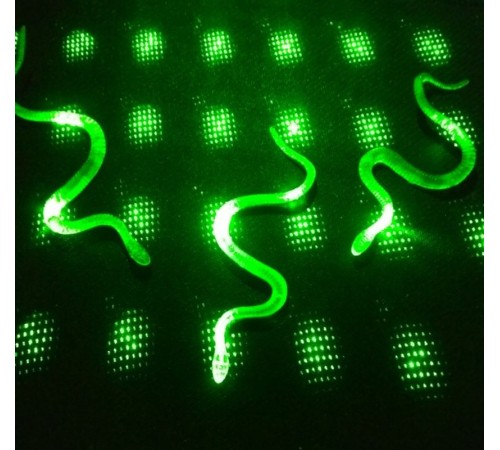 Şaka Yılan ve Kırkayak Karışık 36 Adet