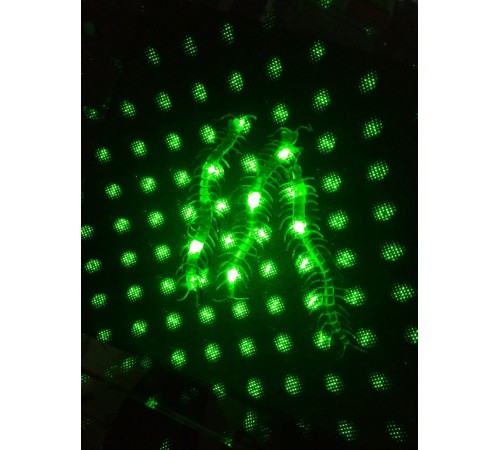 Şaka Yılan ve Kırkayak Karışık 36 Adet