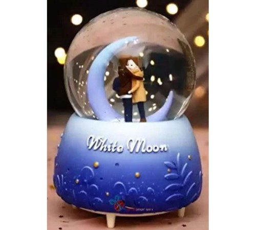 Kar Küresi Orta Boy WY20K08