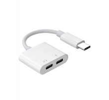 ZR293 Ftac42 Type-C 2 İn 1 Converter Adaptör