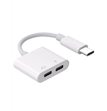 ZR293 Ftac42 Type-C 2 İn 1 Converter Adaptör