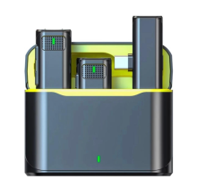 ZR569 V8 Type-C İkili Mikrofon