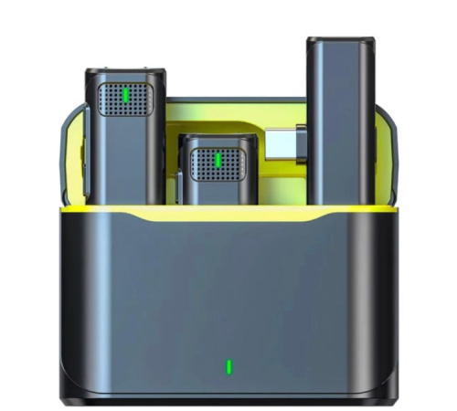 ZR569 V8 Type-C İkili Mikrofon