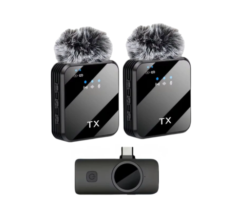 ZR1027 F12 Type-C İkili Mikrofon