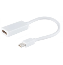 ZR138 Mini Dp Hdmı Çevirici Kablo 30 Cm